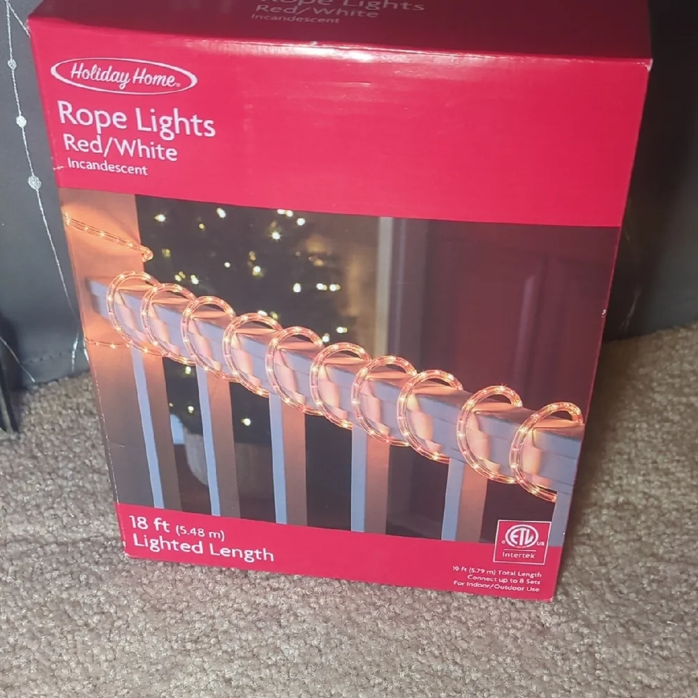 Holiday Home Red and White Incandescent Rope Lights